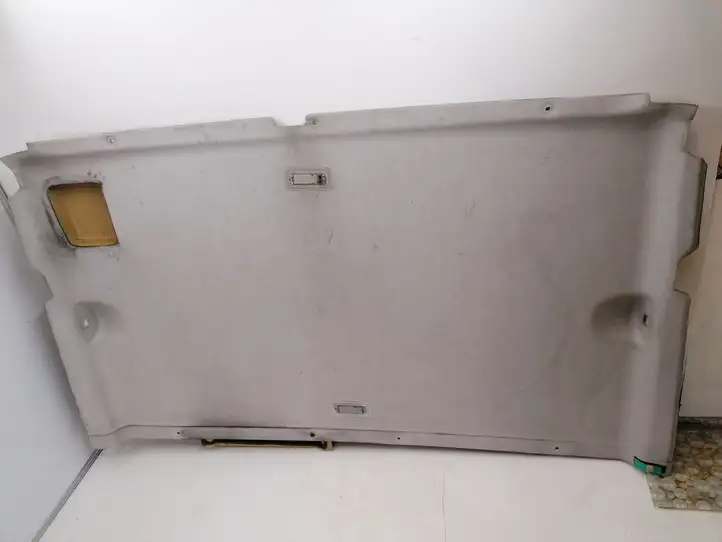Ford Transit (2006 - 2013) Потолочная обшивка — фото 1
