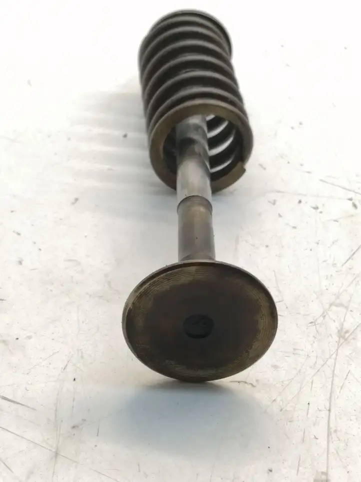 Citroen Jumper (2014 - ) Клапаны двигателя — фото 1