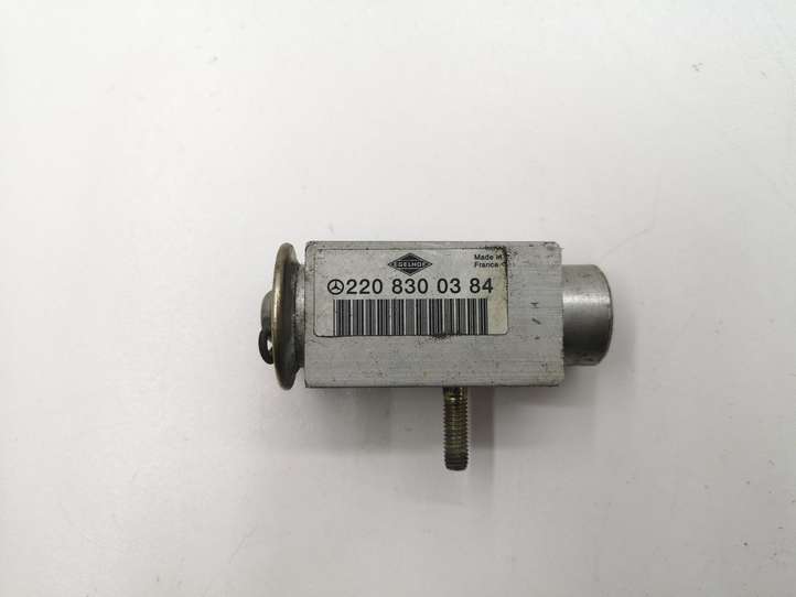Mercedes-Benz A W169 (2004 - 2012)  2208300384 Клапан расширительный