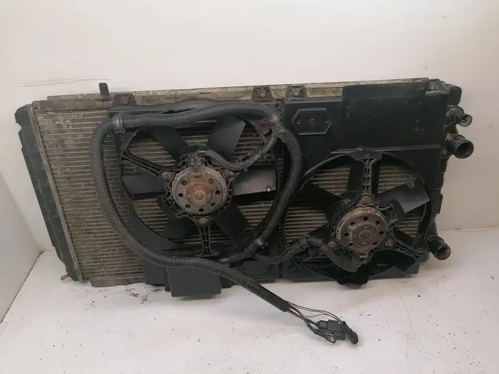 Peugeot Boxer (2002 - 2006) Радиатор охлаждающей жидкости двигателя — фото 1