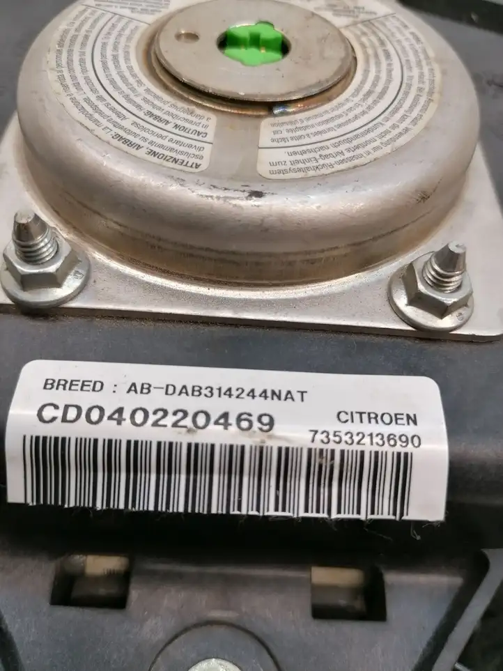 Citroen Jumper (2002 - 2006) 7353213690 Подушка безопасности руля — фото 4