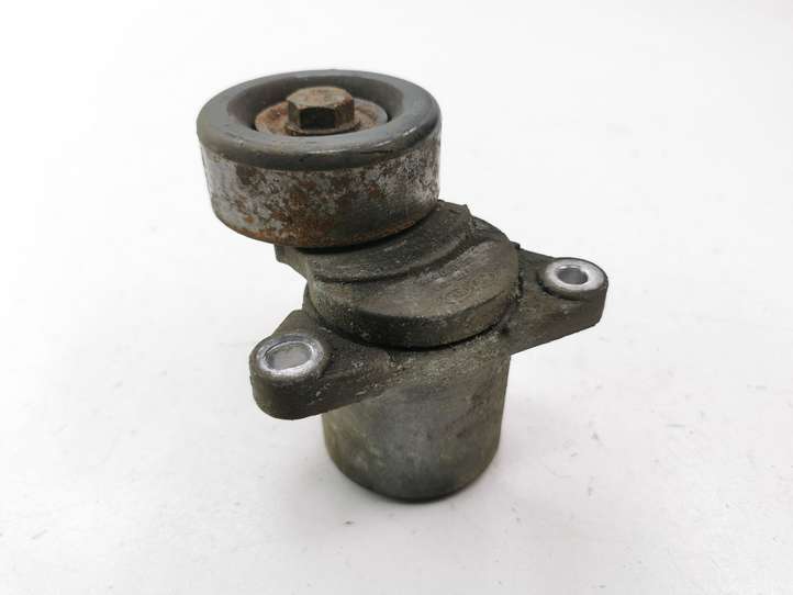 Hyundai Santa Fe (2000 - 2005)  2528127 Натяжитель ремня генератора