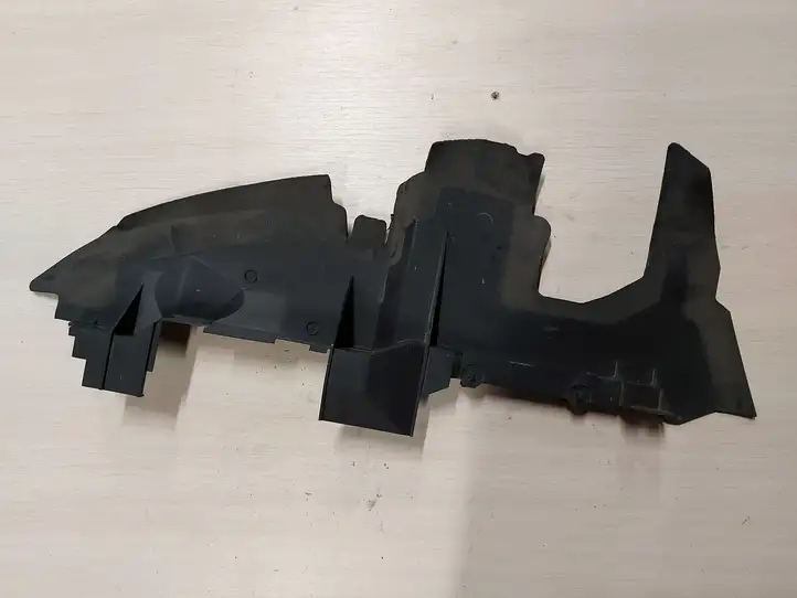 Audi Q7 4L (2005 - 2009) 4L0121283A Дефлектор воздуха — фото 4