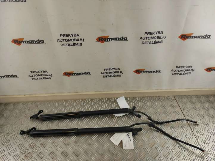 Toyota RAV 4 (XA50) (2018 - )  6891042060 Амортизатор крышки багажника
