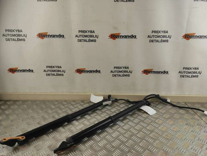 Toyota RAV 4 (XA50) (2018 - )  6891042060 Амортизатор крышки багажника