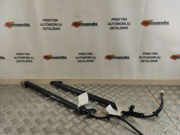 Toyota RAV 4 (XA50) (2018 - )  6891042060 Амортизатор крышки багажника