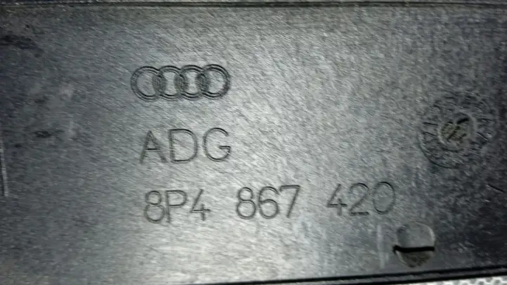 Audi A3/S3 8P (2003 - 2005) Обшивка задней двери — фото 3