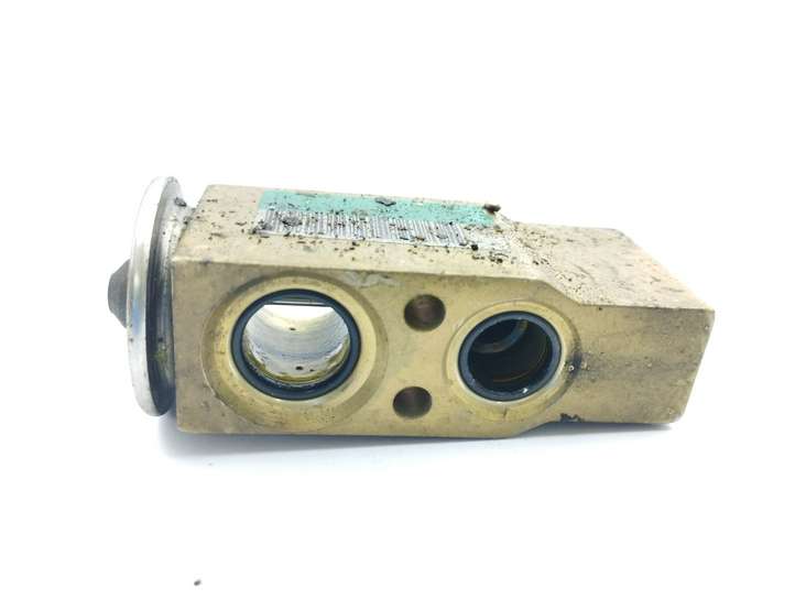 Renault Scenic I (1996 - 2003)  52162790 Клапан расширительный