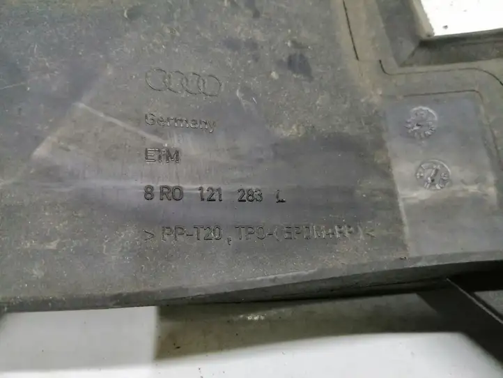 Audi Q5 SQ5 (2008 - 2012) 8R0121283L Дефлектор воздуха — фото 3