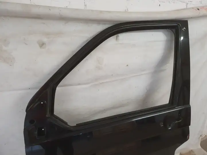 Volkswagen Multivan T5 (2003 - 2015) Дверь — фото 6