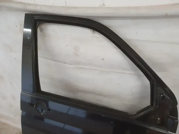 Volkswagen Multivan T5 (2003 - 2015) Дверь — фото 3