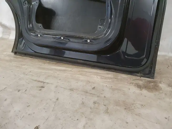 Volkswagen Multivan T5 (2003 - 2015) Дверь — фото 4
