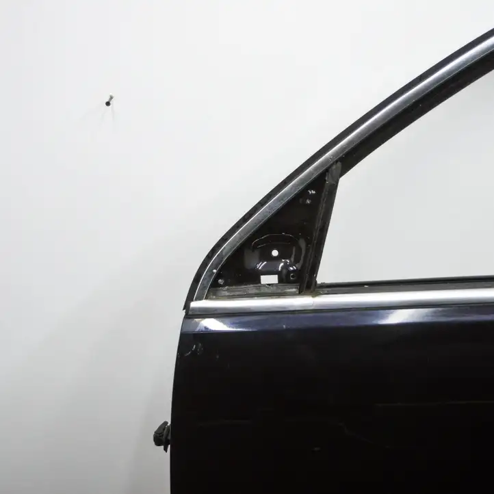 Volkswagen Tiguan (2007 - 2011) Дверь — фото 4