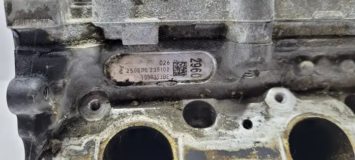 Audi Q5 SQ5 (2008 - 2012) 0593al Головка блока цилиндров — фото 3
