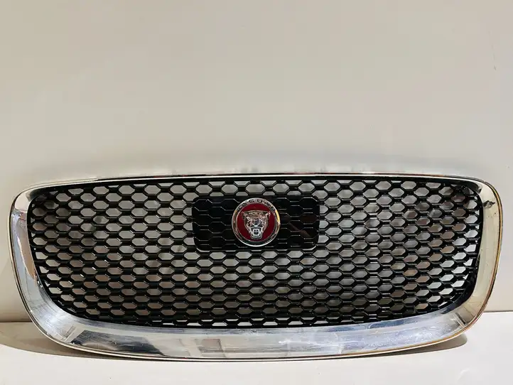 Jaguar F-Pace (2016 - ) FW9316B856AB Верхняя решетка радиатора — фото 1
