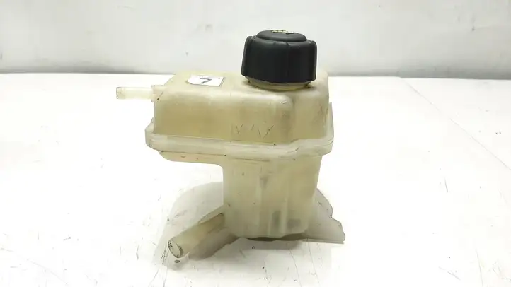 Nissan Qashqai (2006 - 2010) 21711JD70B Расширительный бачок — фото 2