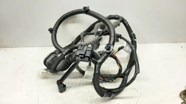 Nissan Qashqai (2013 - 2017) 241244EH2B Проводка передней двери — фото 2