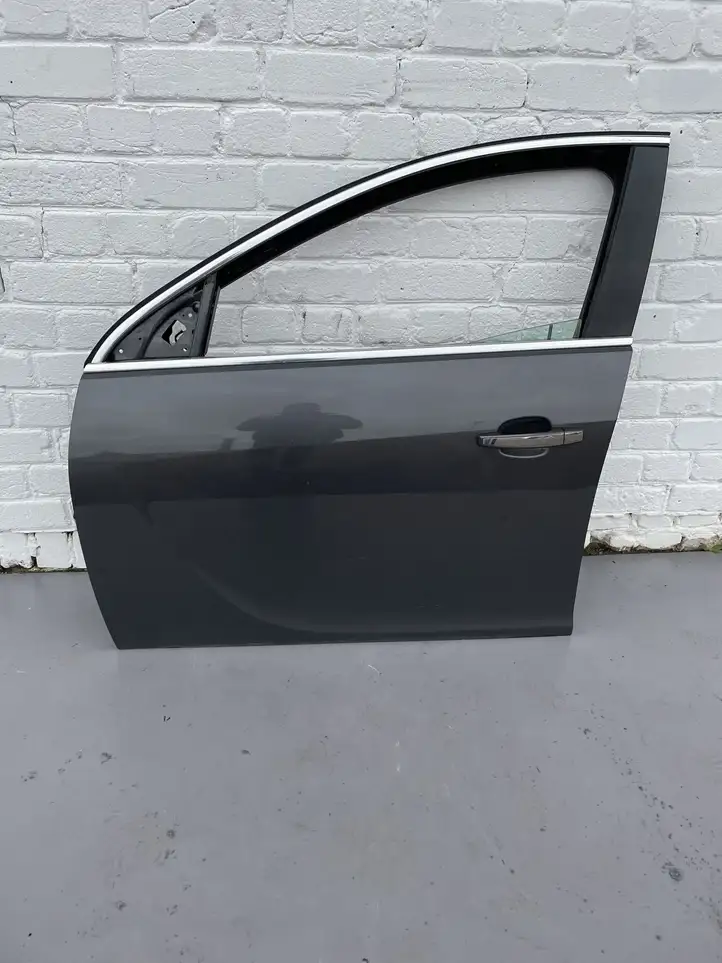 Opel Insignia A (2008 - 2017) Дверь — фото 1