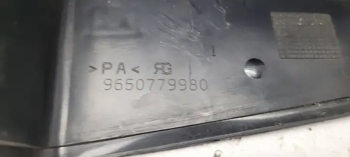 Peugeot 607 (2004 - 2010) 9650779980 Крышка ящика предохранителей — фото 4