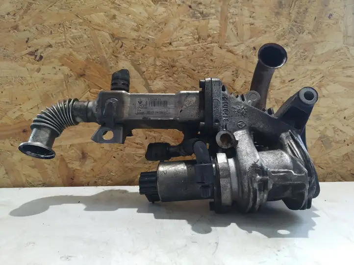 Renault Scenic II -  Grand scenic II (2003 - 2006)  8200360566A Клапан EGR