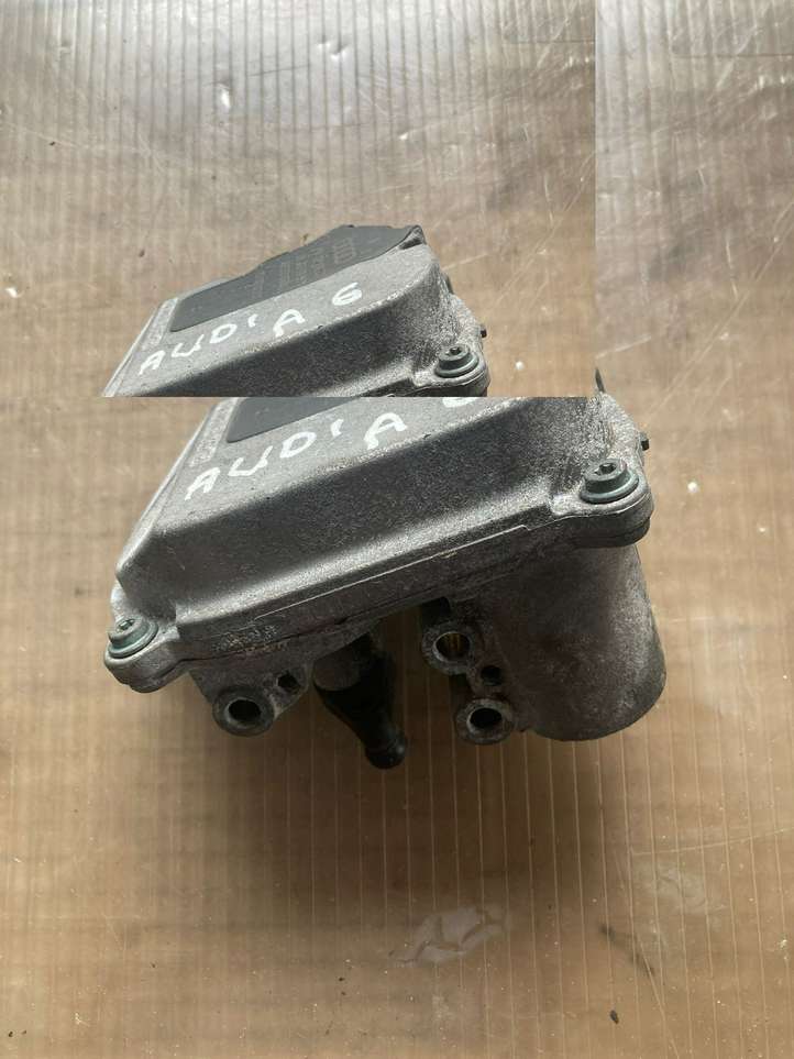 Audi A6 allroad (2006 - 2008)  A2C53106043 Двигатель заслонки