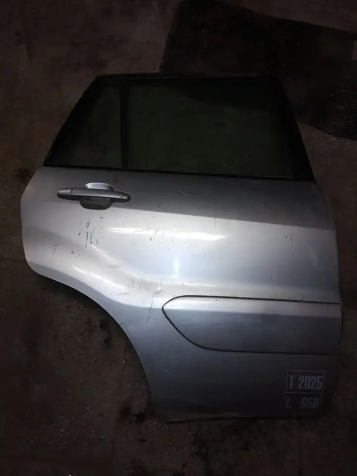 Toyota RAV 4 (XA20) (2000 - 2005) Задняя дверь — фото 6