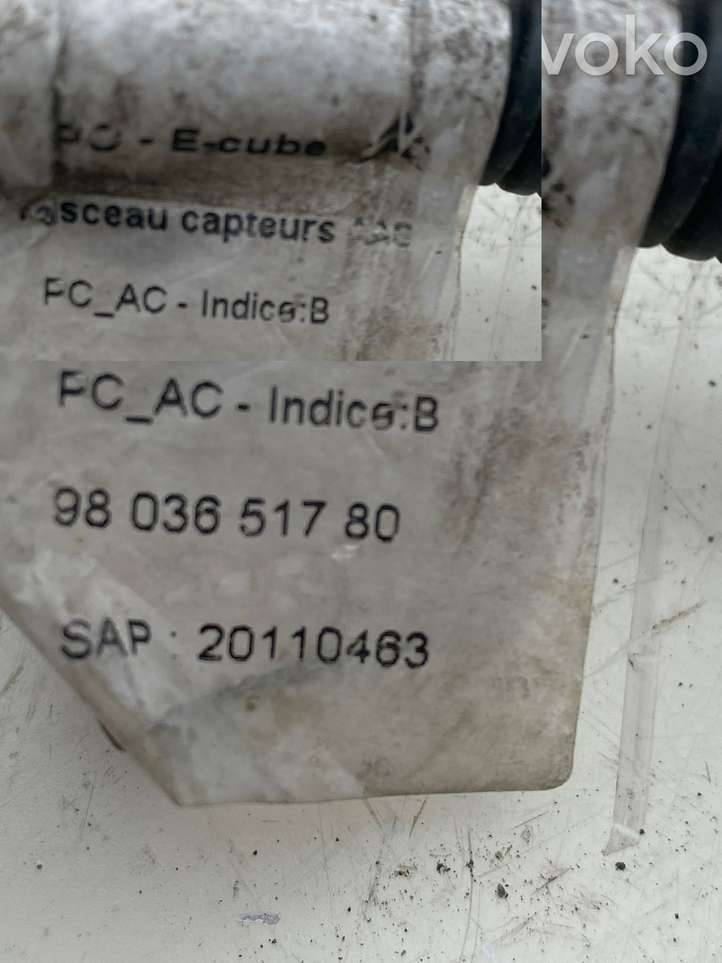 Citroen C4 Cactus (2014 - 2017)  9803651780 Кронштейн заднего датчика парковки (PDC)