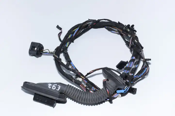 BMW 3 E92 E93 (2005 - 2014) Проводка передней двери — фото 1