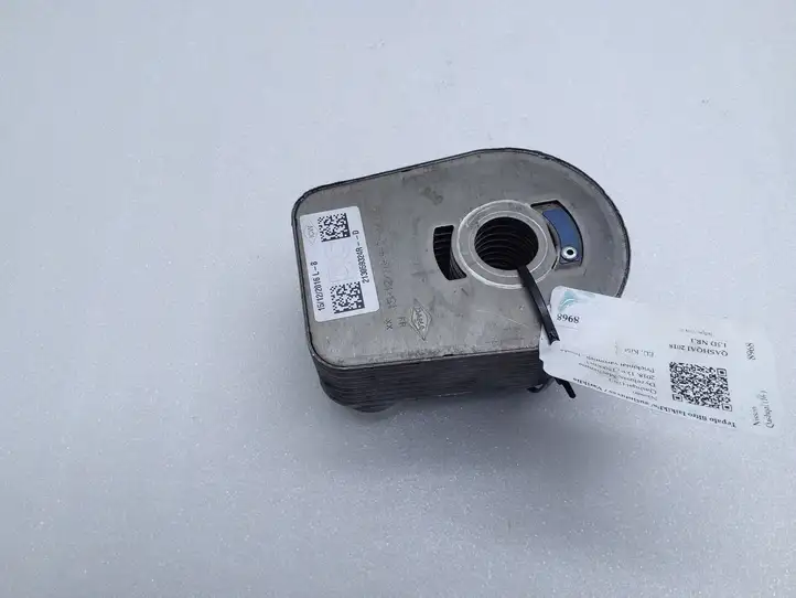 Nissan Qashqai (2017 - 2020) 213059324R Кронштейн масляного фильтра — фото 3