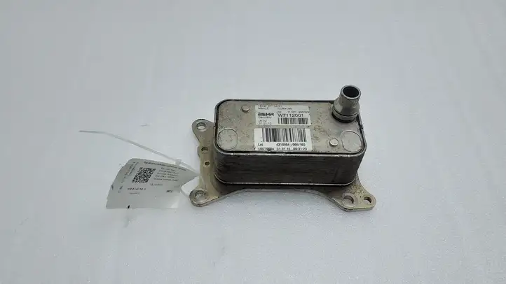 Mercedes-Benz B-class W246 (2011 - 2014) 70364196 Кронштейн масляного фильтра — фото 1