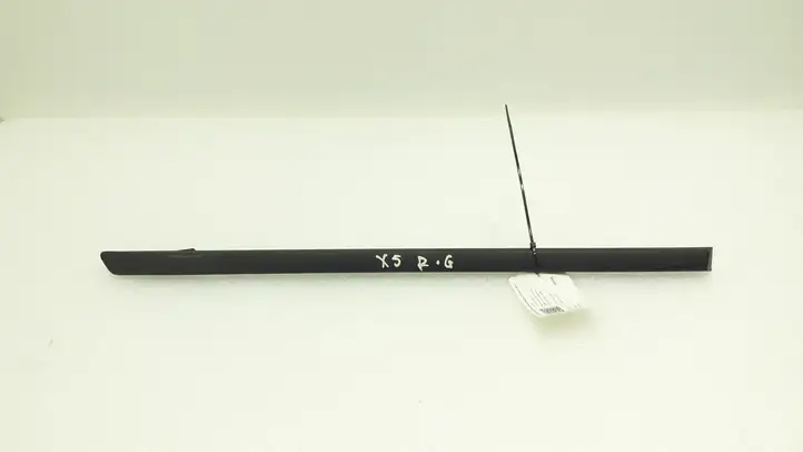 BMW X5 E70 (2006 - 2013) Молдинги задней двери — фото 1