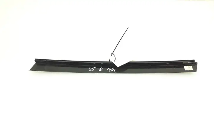 BMW X5 E70 (2006 - 2013) Накладка стекла задней двери — фото 2