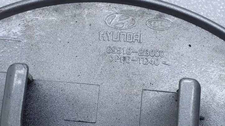 Hyundai Santa Fe (2005 - 2009) 695102B000 Крышка топливного бака — фото 3