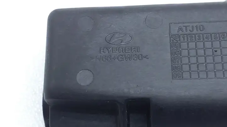Hyundai Santa Fe (2005 - 2009) N66GW30 Передняя пепельница — фото 2