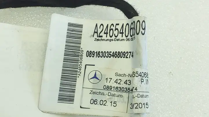 Mercedes-Benz A W176 (2012 - 2018) A2465406809 Проводка задней двери — фото 3
