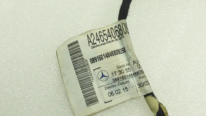 Mercedes-Benz A W176 (2012 - 2018) A2465406809 Проводка задней двери — фото 2