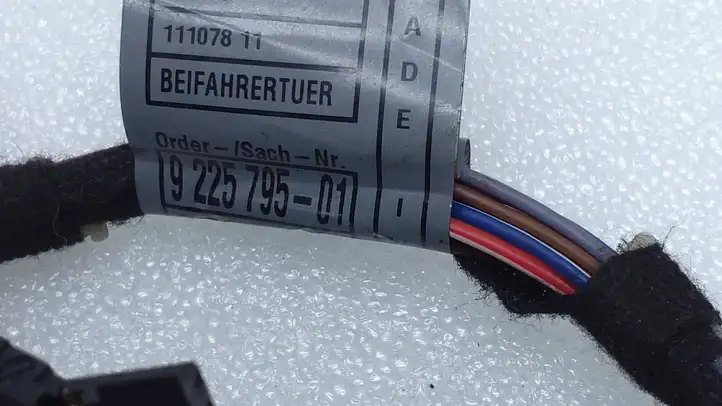BMW Z4 E89 (2009 - 2017) 9225795 Проводка передней двери — фото 2