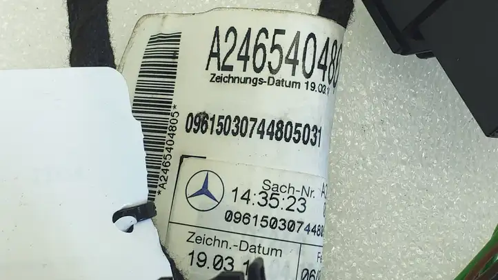 Mercedes-Benz A W176 (2012 - 2018) A2465404805 Проводка передней двери — фото 2