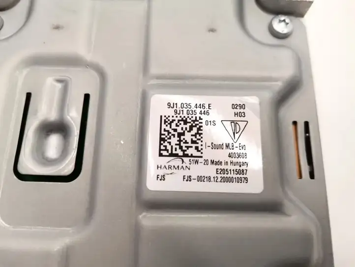 Porsche Taycan 9J1 (2019 - )  9J1035446E Звукоусилитель