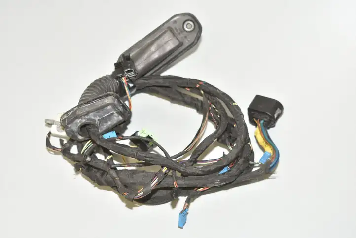BMW 5 GT F07 (2010 - 2017) 9229984 Проводка передней двери — фото 1