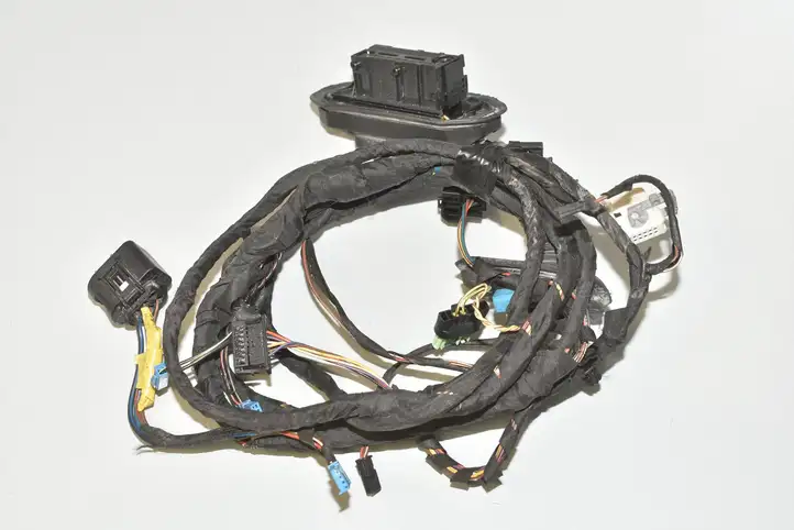 BMW 5 GT F07 (2010 - 2017) 9229984 Проводка передней двери — фото 3