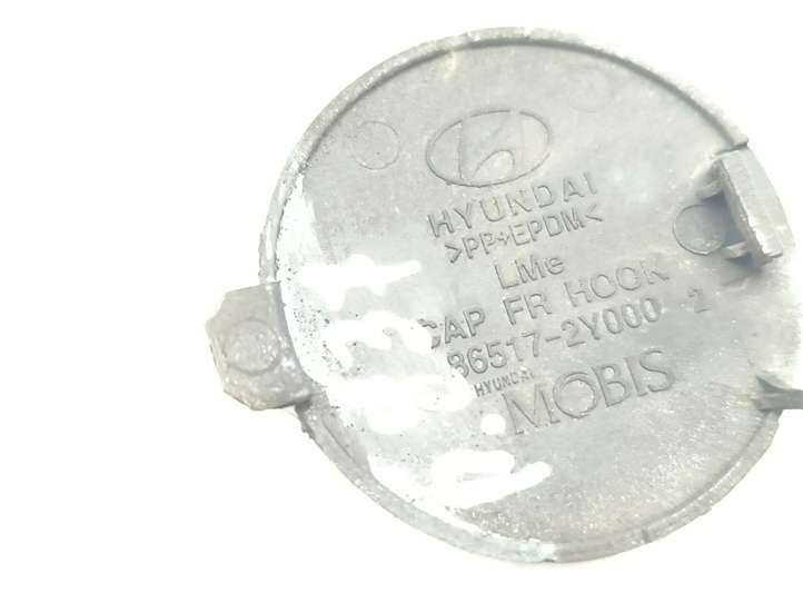 Hyundai ix35 (2009 - 2013)  865172Y000 Крышка петли вытягивания