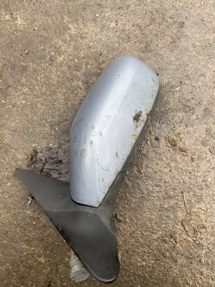 Renault Laguna II (2001 - 2005) Боковое зеркало с электроприводом — фото 1