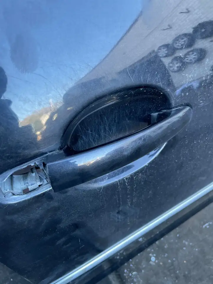 Volkswagen Golf V (2003 - 2009) Дверь — фото 8