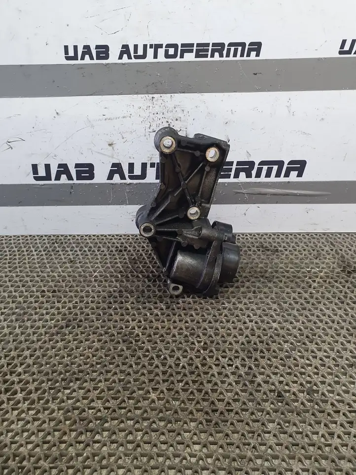 Nissan Qashqai (2013 - 2017) 117105124R Кронштейн генератора — фото 1