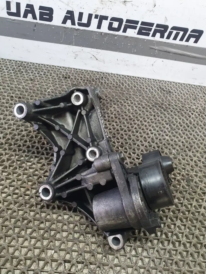 Nissan Qashqai (2013 - 2017) 117105124R Кронштейн генератора — фото 4