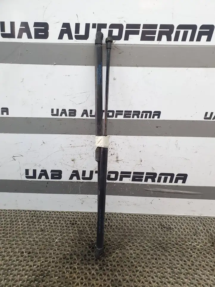 Nissan Qashqai (2013 - 2017) 904504EA1A Амортизатор крышки багажника — фото 1