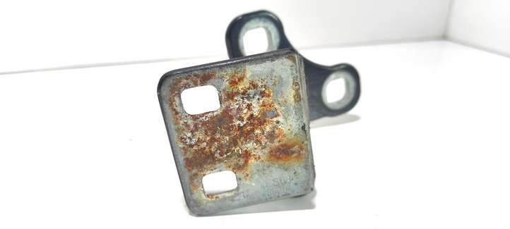 Land Rover Range Rover (2002 - 2005)  70254669 Нижняя петля задней двери