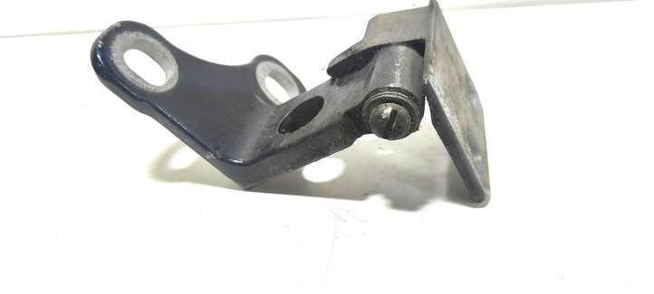 Land Rover Range Rover (2002 - 2005)  70254659 Нижняя петля задней двери