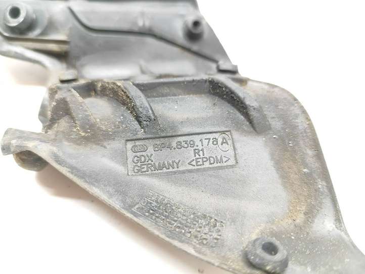 Audi A3/S3 8P (2008 - 2013)  8P4839176A Уплотнительная резина стекла задней двери